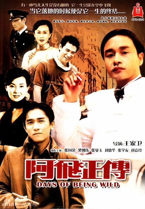 新布伦瑞克省驾驶证怎么购买